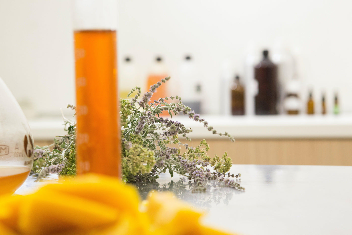 Cellular Cosmetics Private Label Skin Care Australian Cosmetic Manufacture