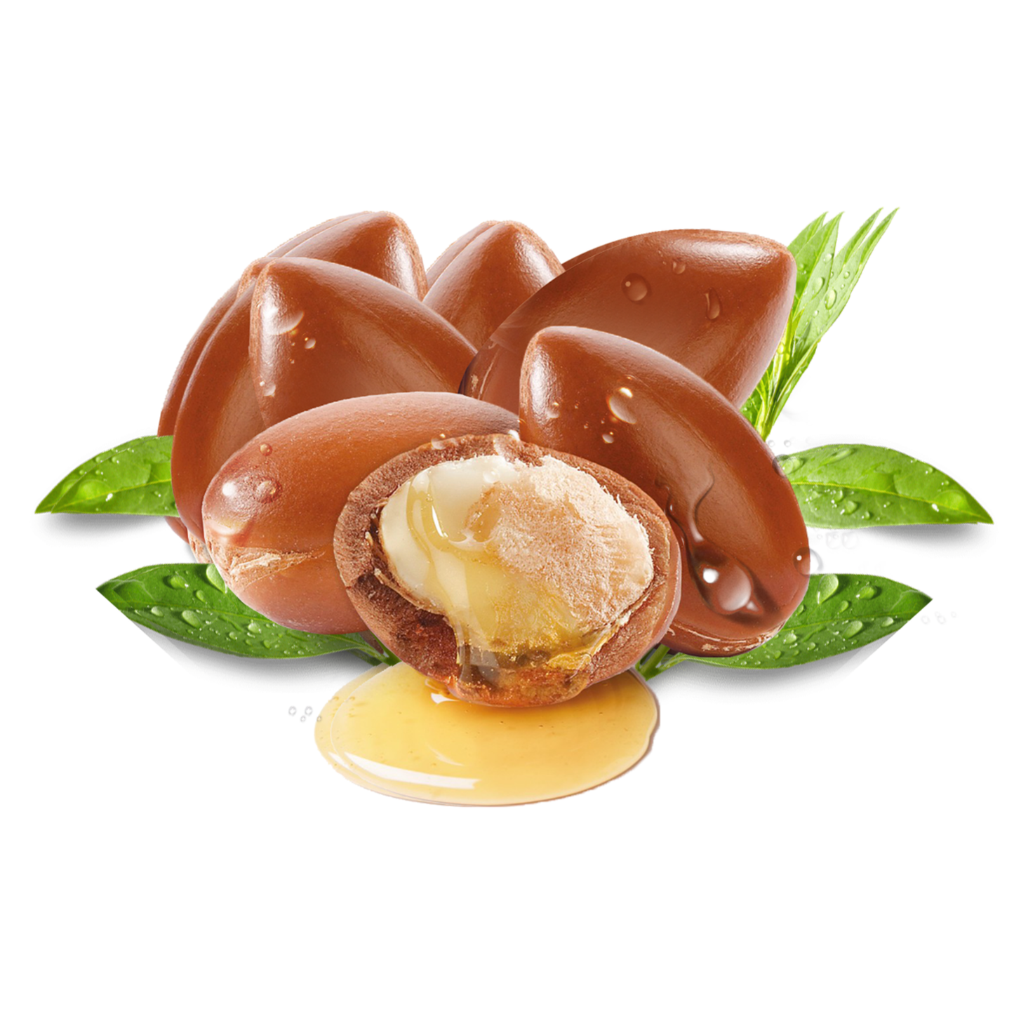 Moroccan Argan Hair Oil