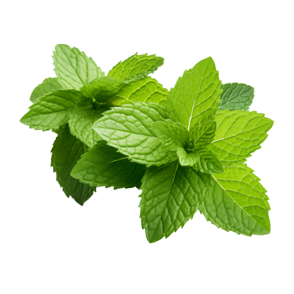 Cooling Mint Lip Repair Balm